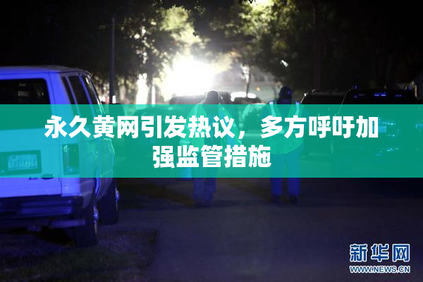 永久黄网引发热议，多方呼吁加强监管措施
