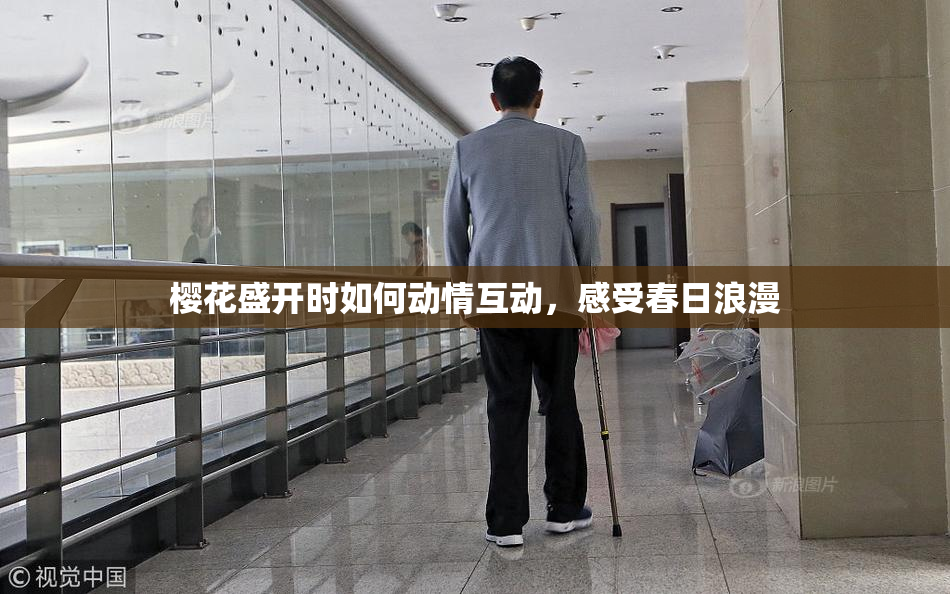 樱花盛开时如何动情互动，感受春日浪漫