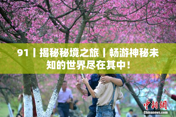 91丨揭秘秘境之旅丨畅游神秘未知的世界尽在其中！