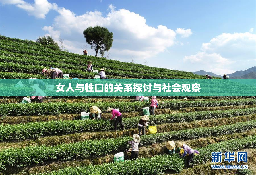 女人与牲囗的关系探讨与社会观察