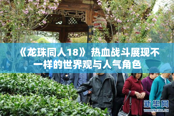 《龙珠同人18》 热血战斗展现不一样的世界观与人气角色