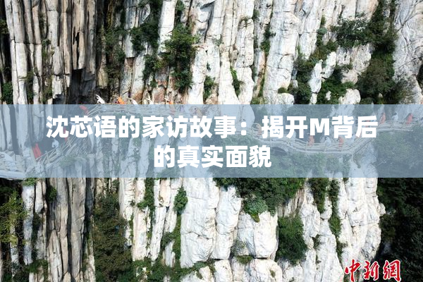 沈芯语的家访故事：揭开M背后的真实面貌