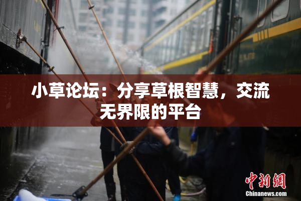小草论坛：分享草根智慧，交流无界限的平台
