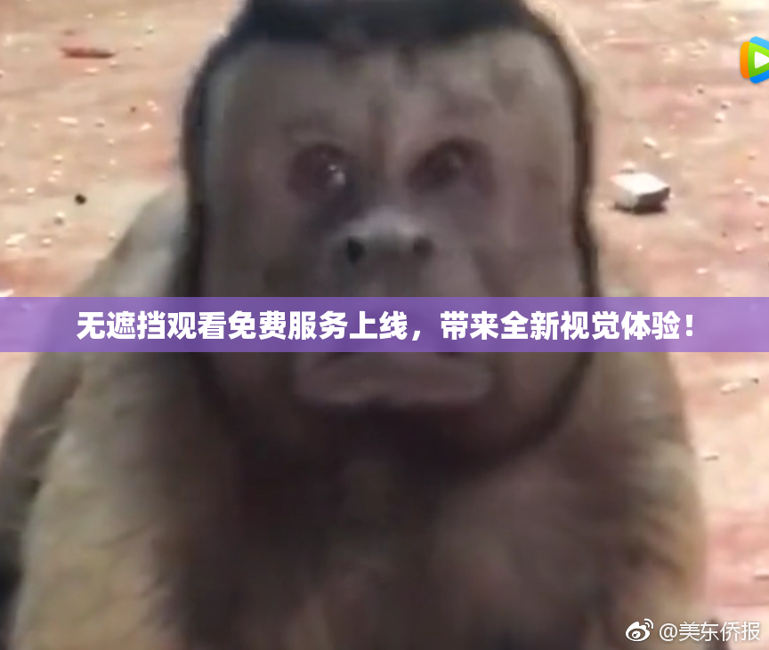 无遮挡观看免费服务上线，带来全新视觉体验！