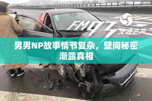 男男NP故事情节复杂，壁间秘密渐露真相