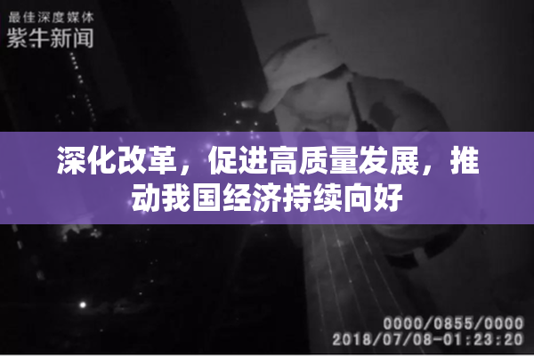 深化改革，促进高质量发展，推动我国经济持续向好