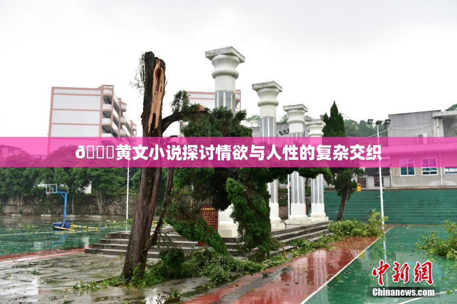 🔞黄文小说探讨情欲与人性的复杂交织