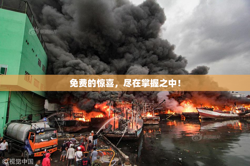 免费的惊喜，尽在掌握之中！