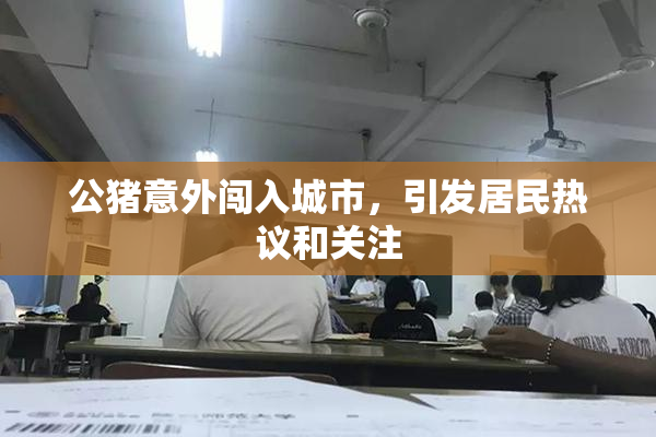 公猪意外闯入城市，引发居民热议和关注
