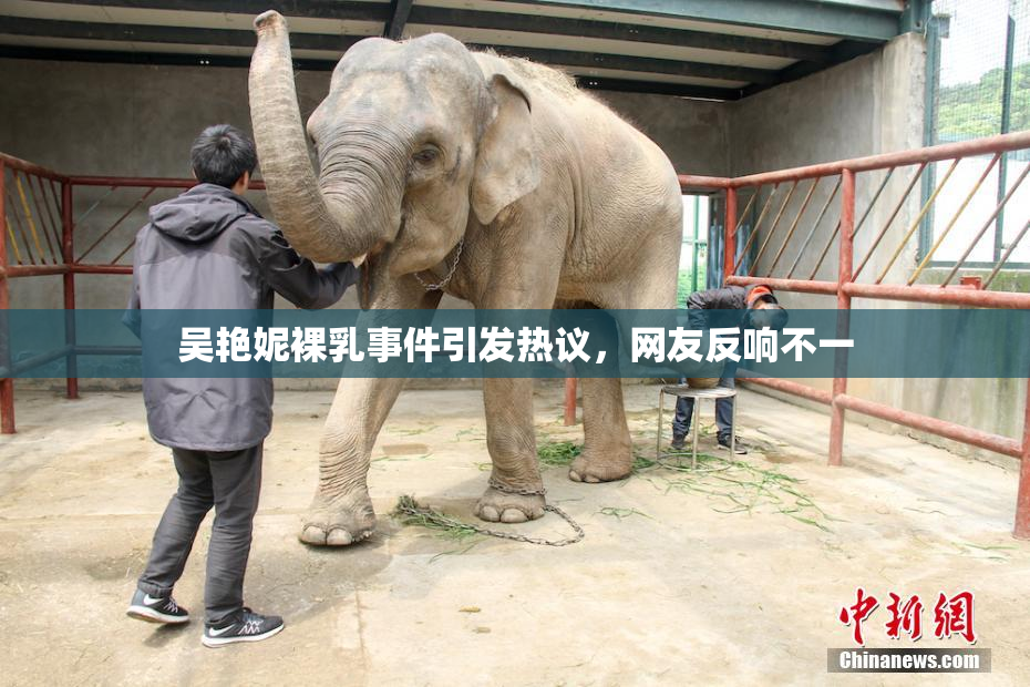 吴艳妮裸乳事件引发热议，网友反响不一