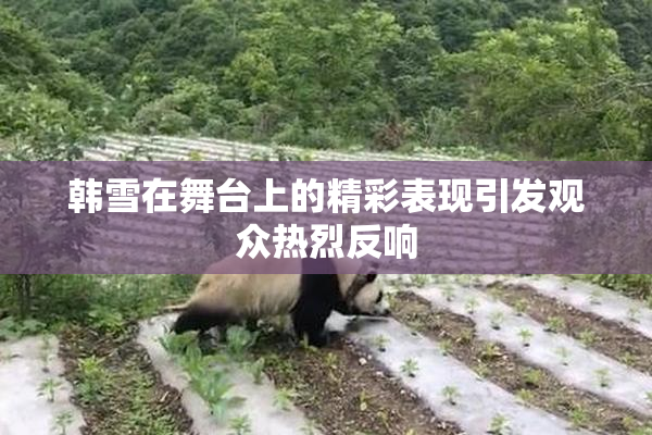 韩雪在舞台上的精彩表现引发观众热烈反响