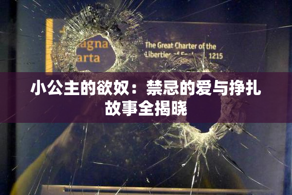小公主的欲奴：禁忌的爱与挣扎故事全揭晓