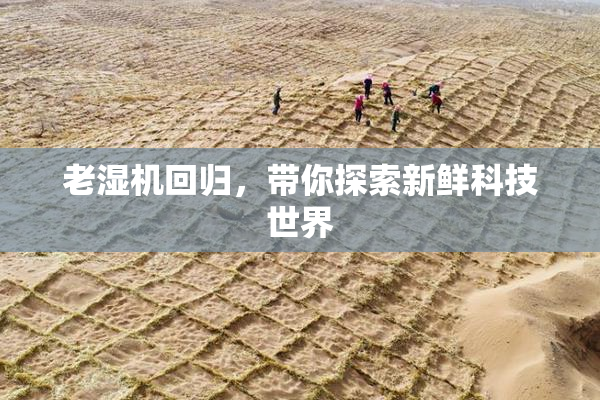 老湿机回归，带你探索新鲜科技世界