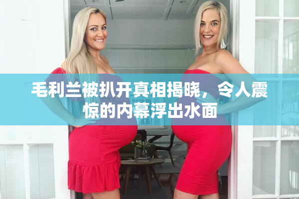 毛利兰被扒开真相揭晓，令人震惊的内幕浮出水面