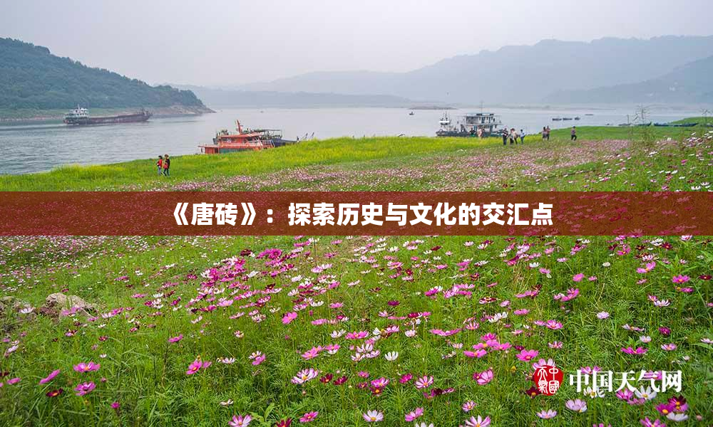 《唐砖》：探索历史与文化的交汇点