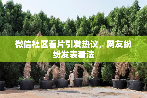 微信社区看片引发热议，网友纷纷发表看法