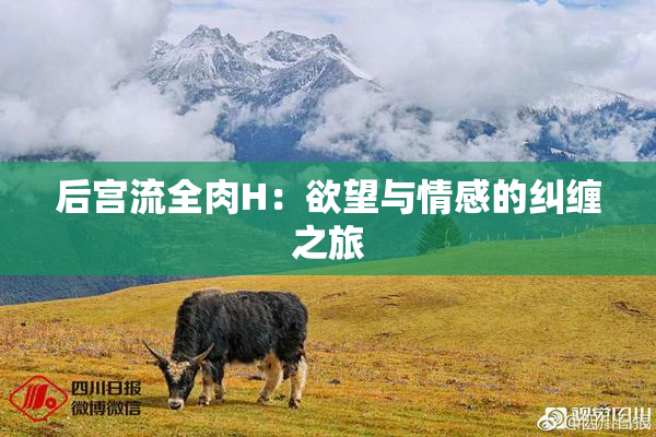 后宫流全肉H：欲望与情感的纠缠之旅
