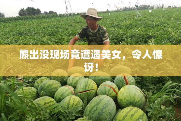 熊出没现场竟遭遇美女，令人惊讶！