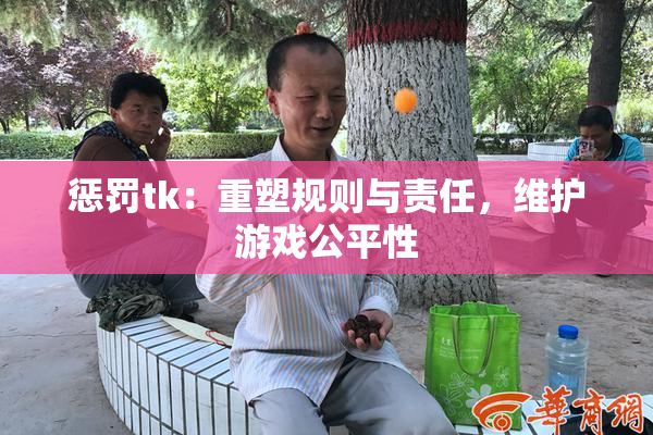惩罚tk：重塑规则与责任，维护游戏公平性