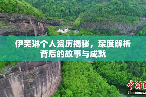 伊芙琳个人资历揭秘，深度解析背后的故事与成就