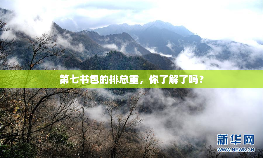第七书包的排总重，你了解了吗？