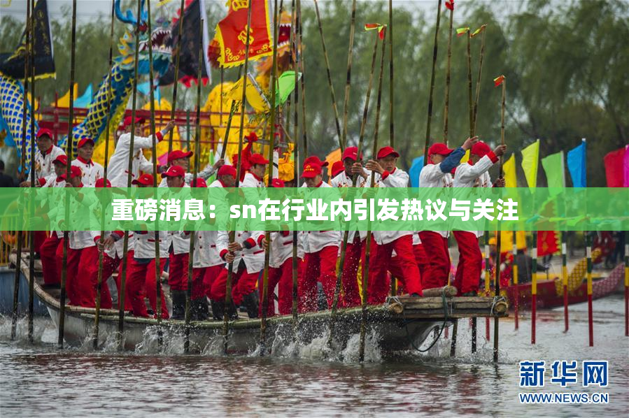 重磅消息：sn在行业内引发热议与关注