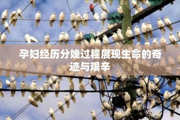 孕妇经历分娩过程展现生命的奇迹与艰辛