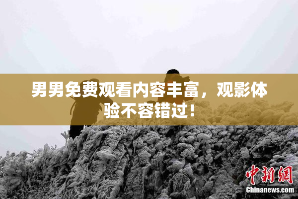 男男免费观看内容丰富，观影体验不容错过！