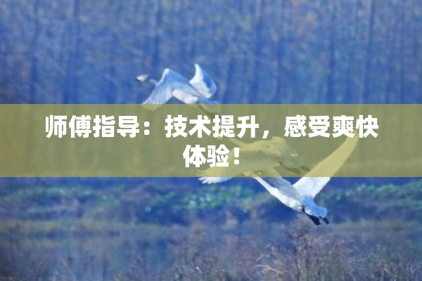师傅指导：技术提升，感受爽快体验！