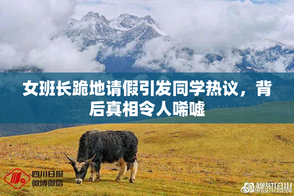 女班长跪地请假引发同学热议，背后真相令人唏嘘