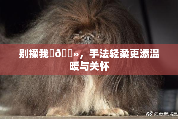 别揉我‌🐻，手法轻柔更添温暖与关怀