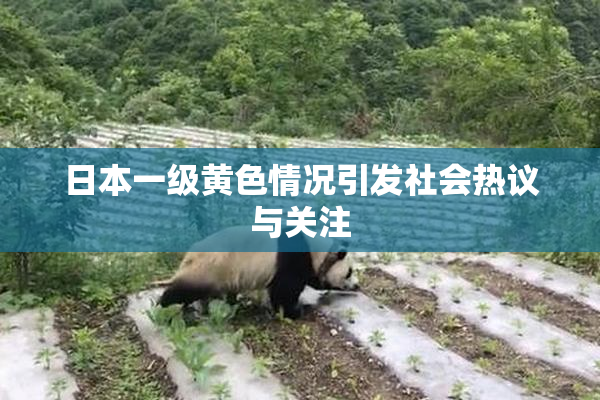 日本一级黄色情况引发社会热议与关注