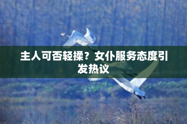 主人可否轻揉？女仆服务态度引发热议
