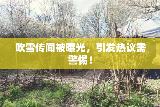 吹雪传闻被曝光，引发热议需警惕！