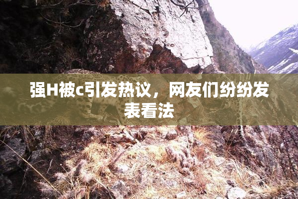 强H被c引发热议，网友们纷纷发表看法