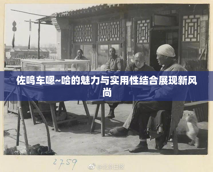 佐鸣车嗯~哈的魅力与实用性结合展现新风尚