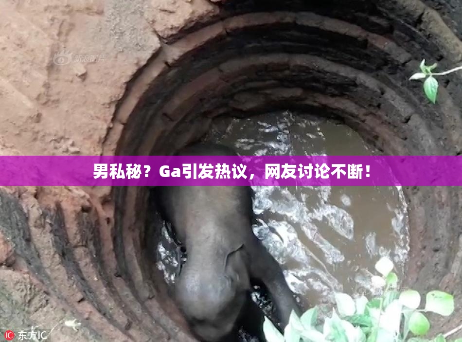 男私秘？Ga引发热议，网友讨论不断！