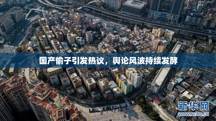 国产偷子引发热议，舆论风波持续发酵
