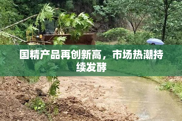 国精产品再创新高，市场热潮持续发酵