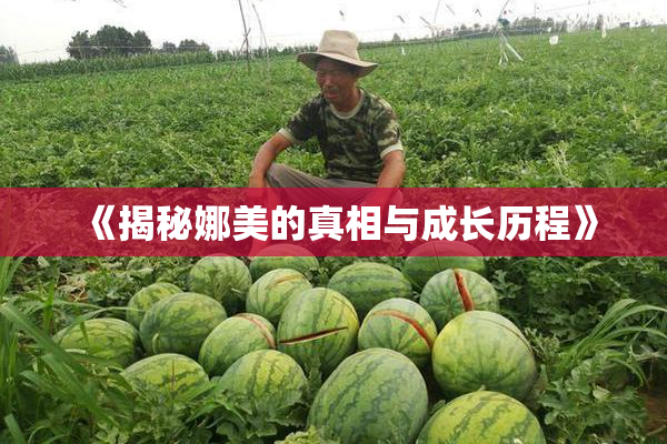 《揭秘娜美的真相与成长历程》