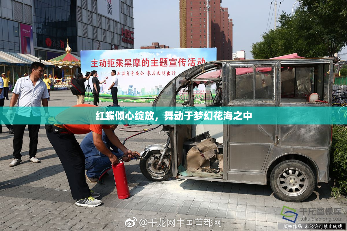 红蝶倾心绽放，舞动于梦幻花海之中