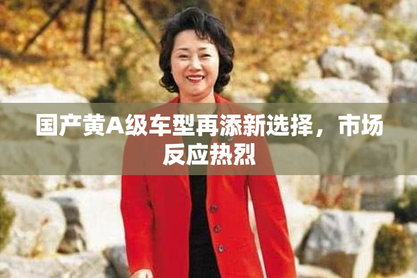 国产黄A级车型再添新选择，市场反应热烈