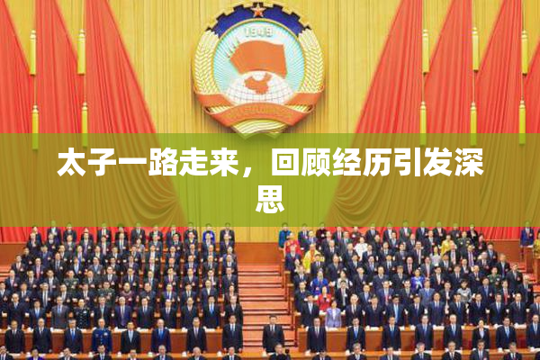 太子一路走来，回顾经历引发深思