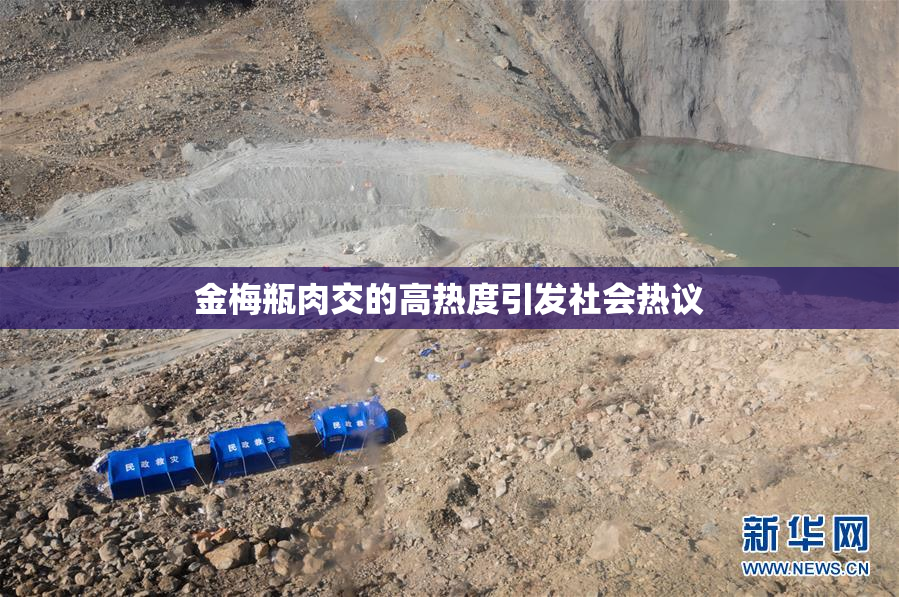 金梅瓶肉交的高热度引发社会热议