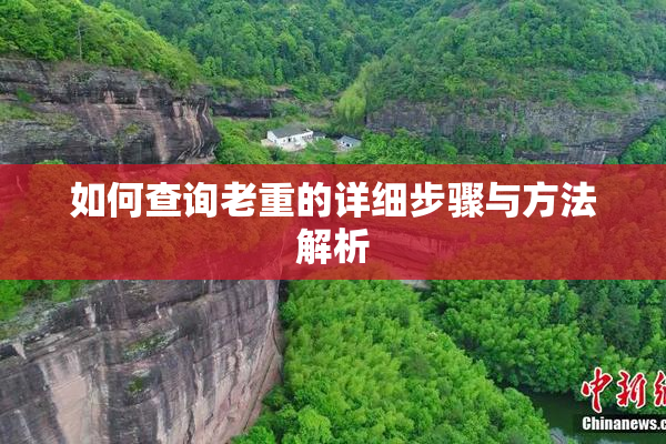 如何查询老重的详细步骤与方法解析