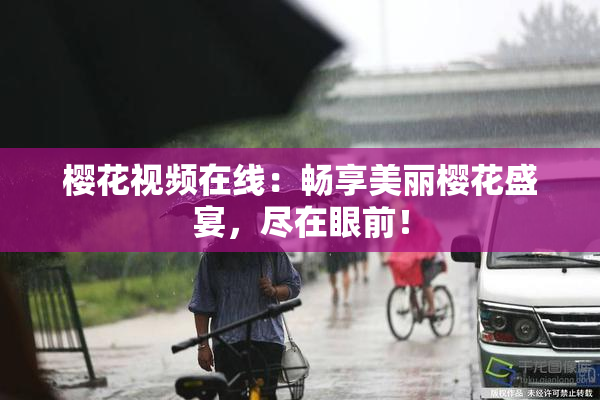 樱花视频在线：畅享美丽樱花盛宴，尽在眼前！