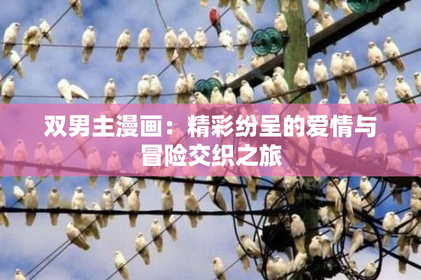 双男主漫画：精彩纷呈的爱情与冒险交织之旅