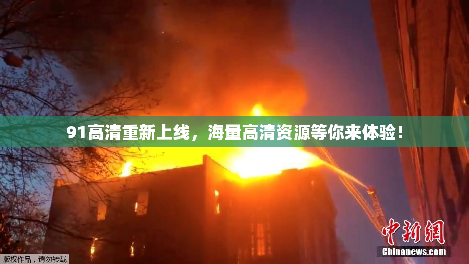 91高清重新上线，海量高清资源等你来体验！