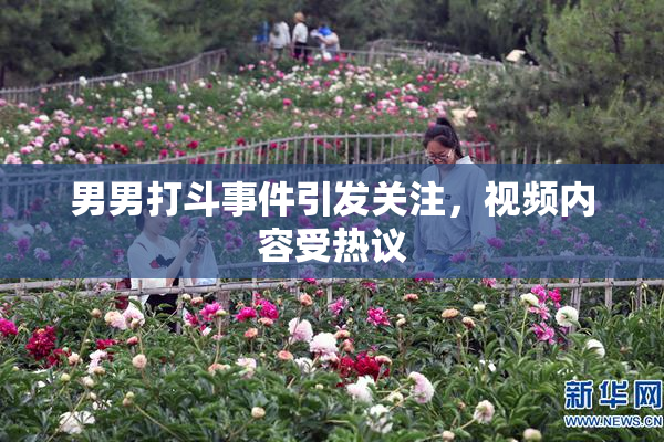 男男打斗事件引发关注，视频内容受热议