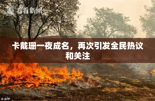卡戴珊一夜成名，再次引发全民热议和关注